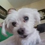 Profile Picture of Sammy P. Samuelson (@sammy_p_samuelson) on Instagram