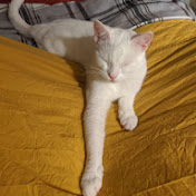 Profile Picture of Vicky Donnelly (@vickydonnelly5735) on Youtube