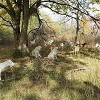 Profile Picture of Vicki Watson (@vicki-watson-25) on Quora