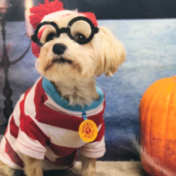 Profile Picture of Marlene Burrow (@marlenewburrow) on Poshmark