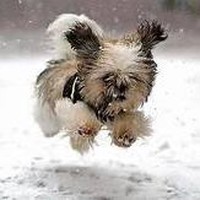 Profile Picture of Chris Heuker (@chris-heuker) on Quora