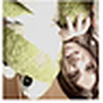 Profile Picture of Juliana Perez (@p.ikena) on Flickr