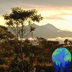 Profile Picture of Wilfrido Alvarez (@wilfrido.alvarez22) on Tiktok