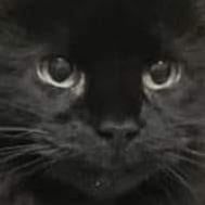 Profile Picture of Mark Rayment (@mark.rayment0) on Tiktok