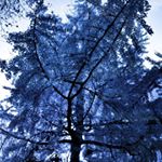 Profile Picture of Tom McArthur (@mcarthurphoto) on Instagram