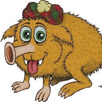 Profile Picture of Matthew (@88_haggis) on Twitter
