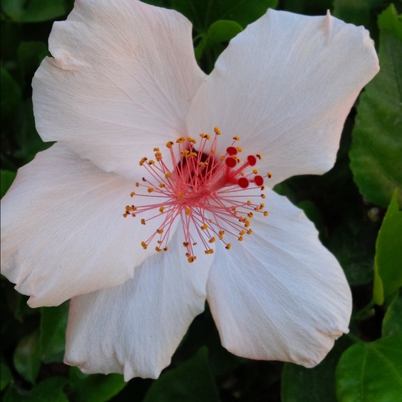 Zoë Baker - Poshmark Profile Picture of Zoë Baker (@zoebaker) on Poshmark