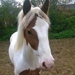 Profile Picture of Daniel Laskowski (@laskowskidaniel7) on Instagram