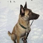 Profile Picture of Zogg Michael (@zogg.michael.7) on Instagram