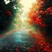 Profile Picture of Muamer Ljujkovic (@mljujkovic) on Pinterest
