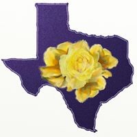 Profile Picture of Nancy Reyna (@nancy-reyna-6) on Quora