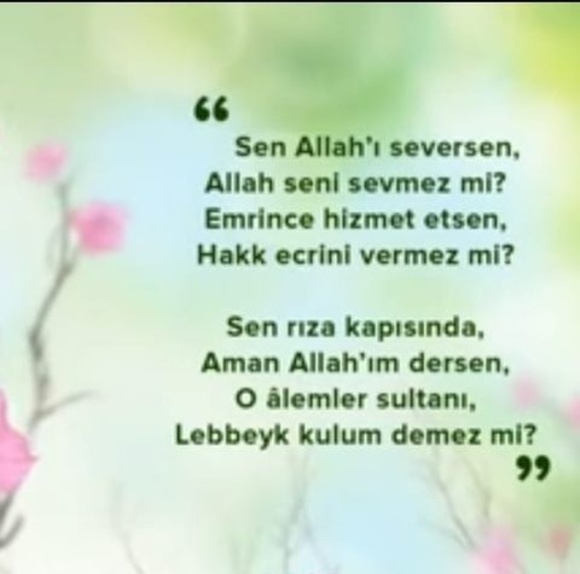 Mehmet Ayaz - Poshmark Profile Picture of Mehmet Ayaz (@enesemre28) on Poshmark