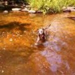 Profile Picture of adamburnham (@adam473burnham) on Instagram