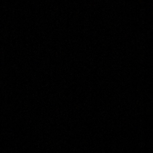 Profile Picture of Dana Lauer (@danalauer) on Poshmark