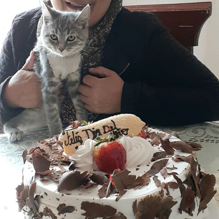 Profile Picture of lucrecia camacho (@lucrecia_27) on Tiktok