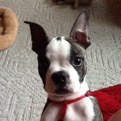 Profile Picture of Keith MacKenzie (@KeithMac88) on Twitter