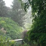 Profile Picture of b_tahaei_official (@b_tahaei_official) on Instagram