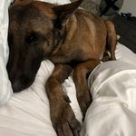 Profile Picture of Michael Connolly (@yannywithstupid) on Instagram