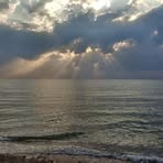 Profile Picture of Adam Haidar (@Adam-Haidar) on Facebook