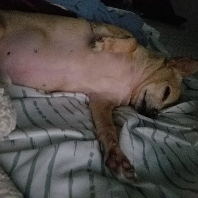 Mike Housley - Twitter Profile Picture of Mike Housley (@Mikehousley2) on Twitter