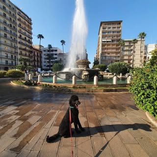 Profile Picture of taranto_joy (@taranto_joy) on Instagram