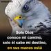 Profile Picture of Robin Mojica (@Robin-Mojica) on Facebook