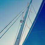 han nguyen - Flickr Profile Picture of han nguyen (@Han.Nguyen) on Flickr