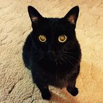 Profile Picture of Kate Dombrowski (@kate.dombrowski.39) on Instagram