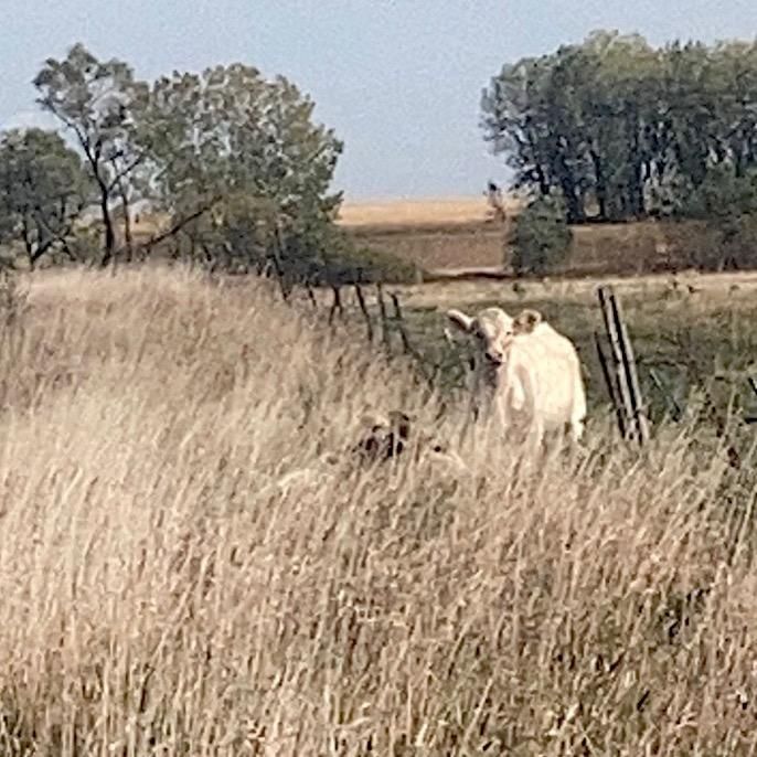 Profile Picture of James Poppen (@jamespoppen0) on Tiktok