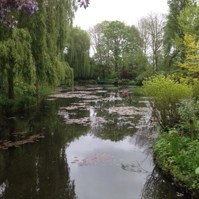 Profile Picture of Seth Harp (@a_sethharp) on Twitter