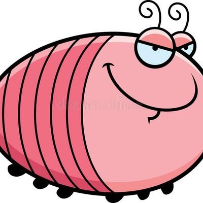 Profile Picture of Kevin Shaughnessy (@RedTeamGrub) on Twitter