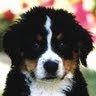Profile Picture of Kai Soderberg (@kaisoderberg) on Tiktok