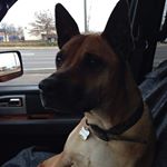 Profile Picture of Robert Collier (@robert.collier4) on Instagram