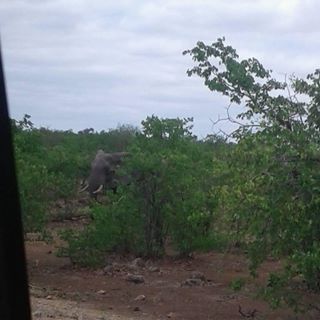 Profile Picture of Lily Kuhlula Nkuna (@mkatekolily.nkuna) on Facebook