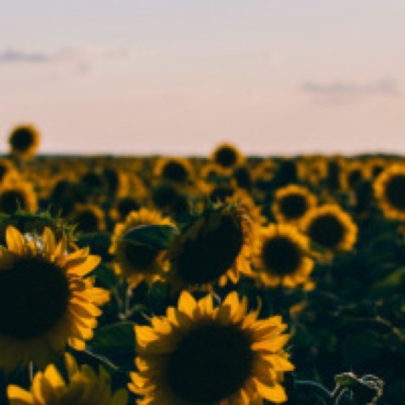 Profile Picture of Andrea Lima (@guille915) on Poshmark