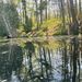 Profile Picture of Amelia Hebert (@whistlingamelia) on Pinterest
