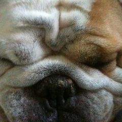 Profile Picture of Andrew (@andrewnorgrove6) on Tiktok