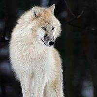 Profile Picture of Jeff Sherman (@jeff-sherman-38) on Quora