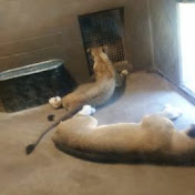 Profile Picture of Andrew Skinner (@AndrewSkinner-j4r) on Youtube