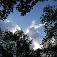 Profile Picture of Terri Bright (@terri-bright-7) on Quora