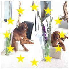 Profile Picture of David Gledhill (@davidgledhill) on Tiktok