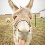 Profile Picture of Bill Wade (@billwade76) on Instagram