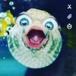 Profile Picture of Brendan Curtis (@brendan.curtis.5437) on Instagram