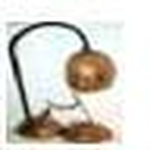 Profile Picture of Pedro N?voa (@A Ferro e Coco) on Flickr