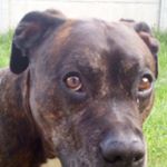 Profile Picture of Daniel Wilczak (@wilczak.daniel) on Instagram