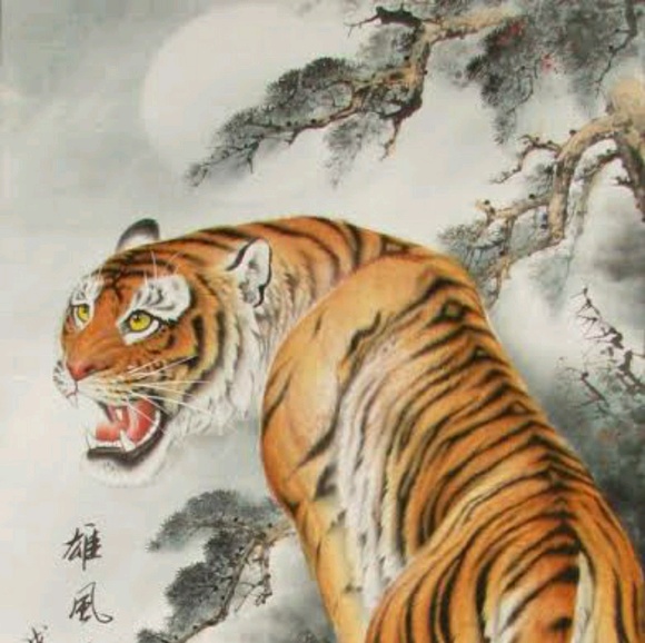 Profile Picture of Daniel Silva (@danz89) on Poshmark