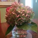 Profile Picture of Paula McKenna (@maoc0305) on Instagram