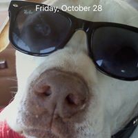 Profile Picture of Nancy Olson (@nancy-olson-28) on Quora