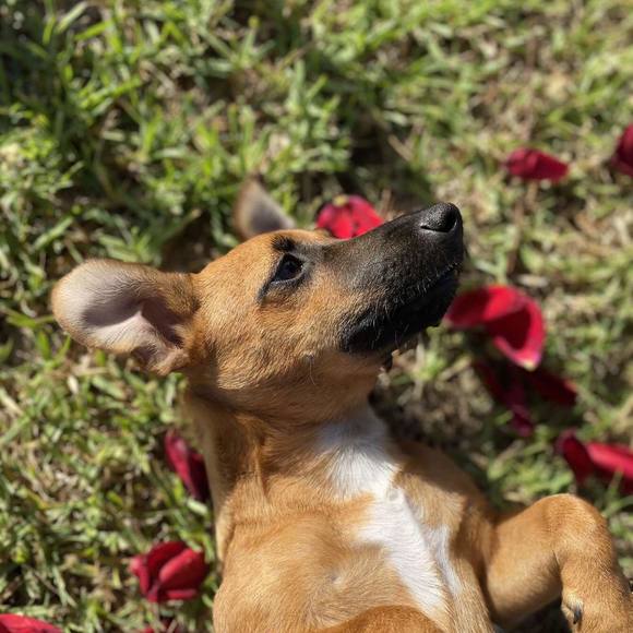 Profile Picture of Non Non (@nonnon794) on Poshmark