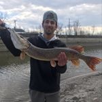 Profile Picture of Nick Sapienza (@nicksapi10) on Instagram